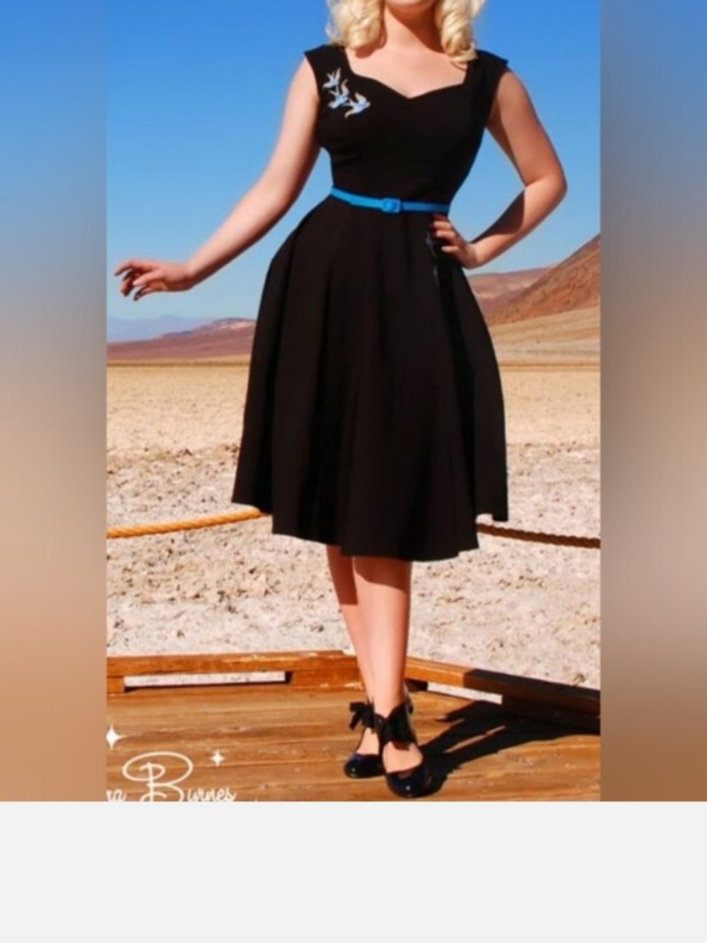 ISO Pinup Couture Annalise Swallow Swing Dress Black – XL / 2X